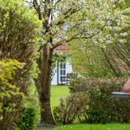 Lilli Marleen 3-33 Apartment *